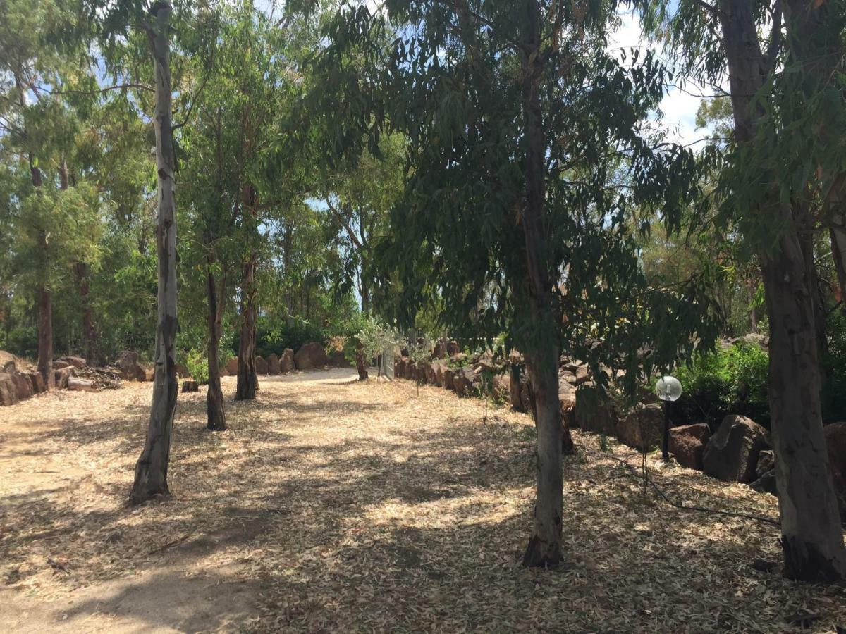 Sa Domo de Mannoi Su Catreathu Villa Orosei Exterior foto